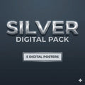 Silver Entries